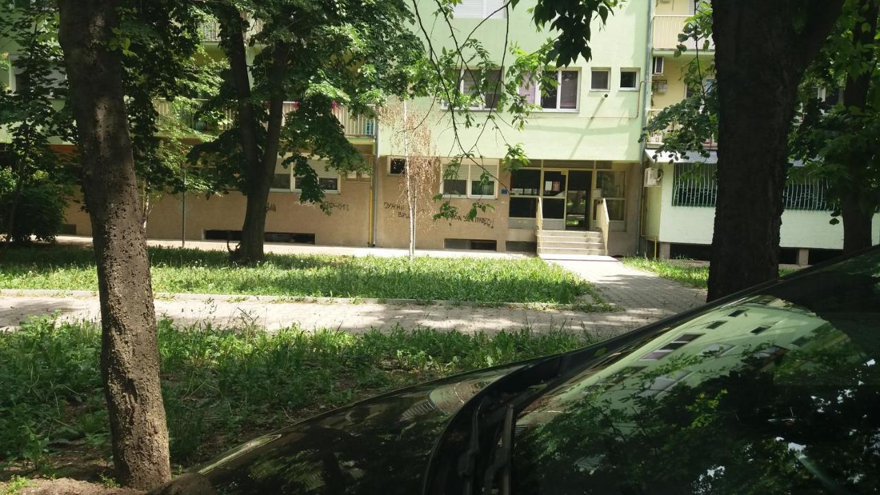 Ferienwohnung Stan Na Dan Dunja 1 Vrsac Exterior foto